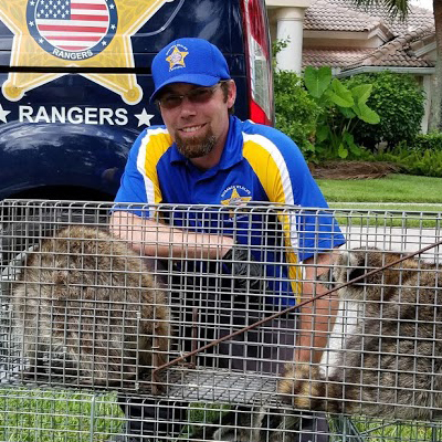 Guide To Get Rid of Raccoons on Your Roof And Property » BUSINESS TO MARK