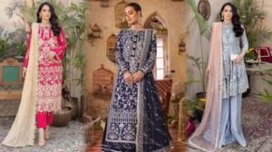 Chic And Cultural Stylish Pakistani Clothes In The USA