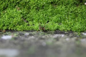 Uncovering the 3 Most Prevalent Stucco Problems in Philadelphia Homes: A Stucco Inspection Guide