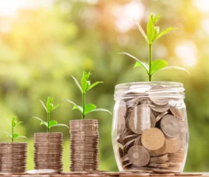 DIY Cleaning Solutions: Save Money and the Environment