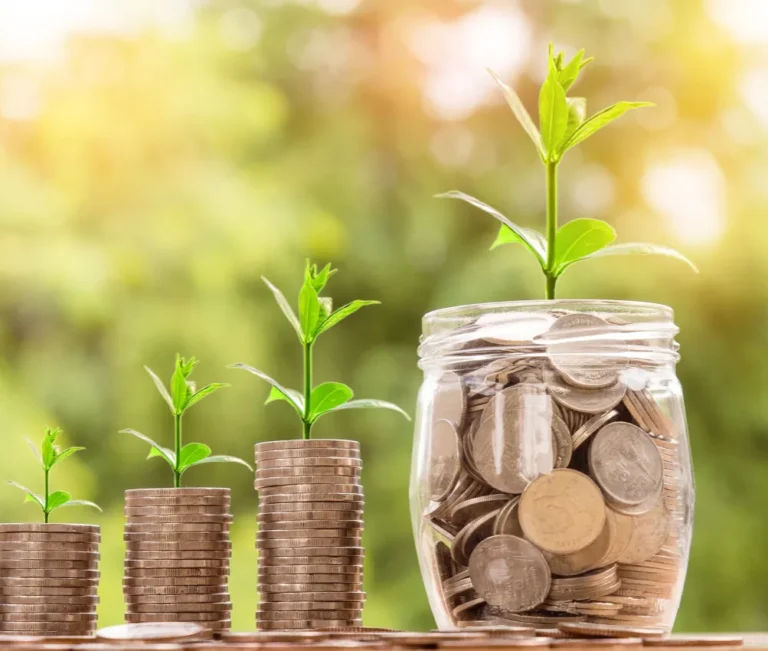 DIY Cleaning Solutions: Save Money and the Environment