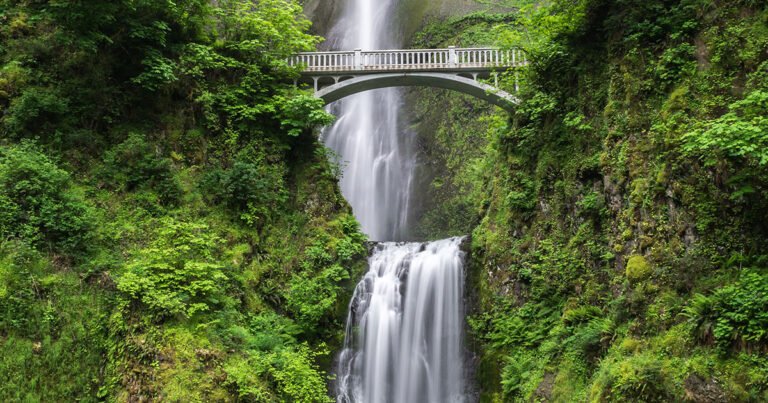 Sustainability in Stickers: Eco-Friendly Options for a Greener World