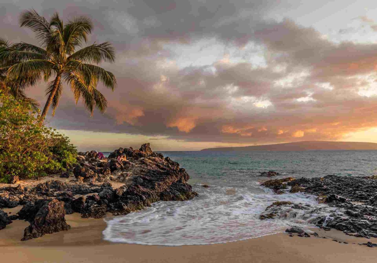 Discovering Coastal Gems: A Journey of Beauty and Wonder