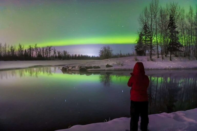 Why You Should Experience the Magic of Alaska's Winter Tours