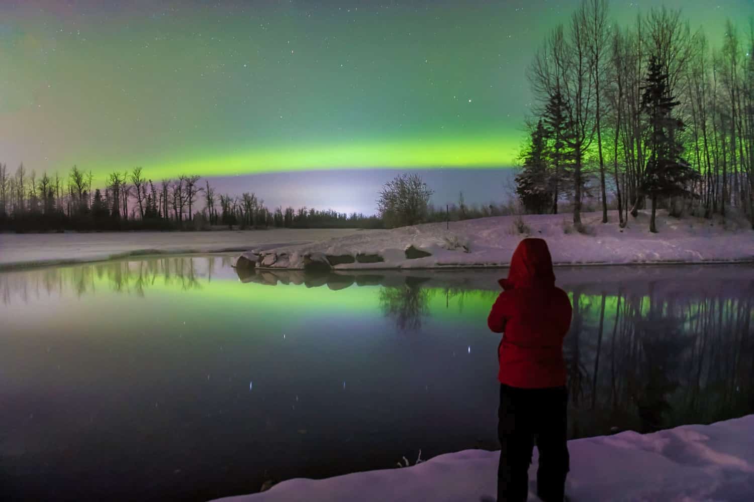 Why You Should Experience the Magic of Alaska’s Winter Tours