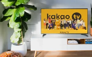 Complete Information Kokoa TV