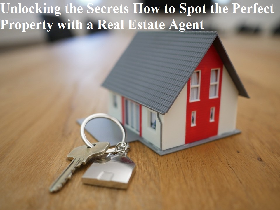 Unlocking the Secrets How to Spot the Perfect Property with a Real Estate Agent