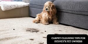 Carpеt Clеaning Tips for Sydney’s Pеt Ownеrs
