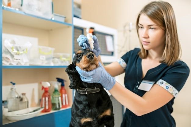 Everything about Veterinary Drug Chemical Intermediates