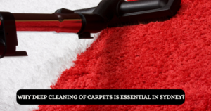 Why Deep Cleaning of Carpets is Essential in Sydney?