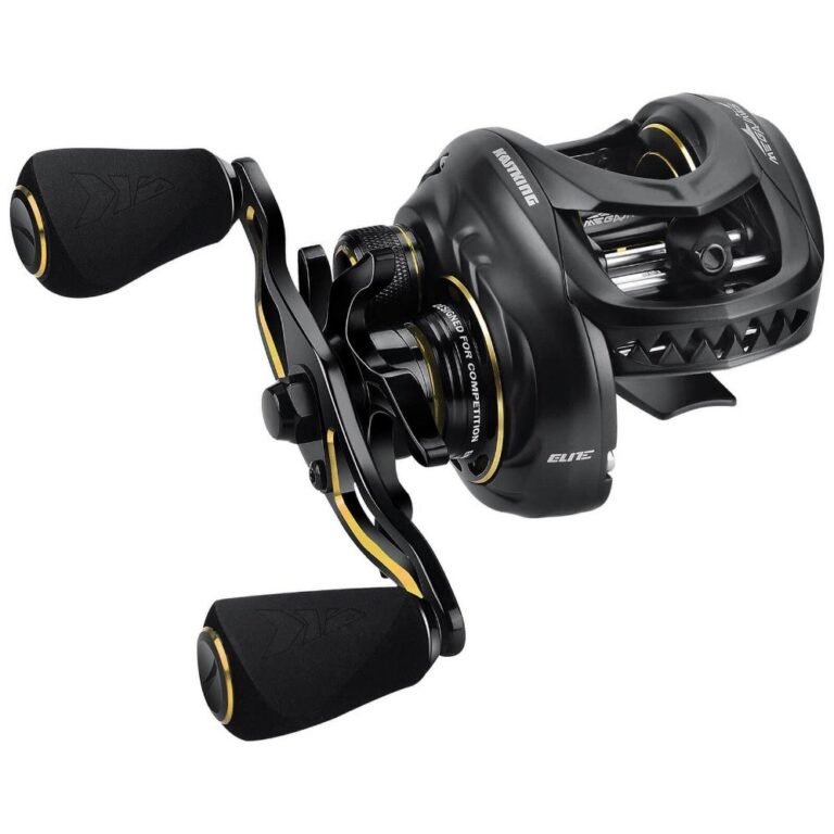 How to Choose the Best Baitcaster Reel