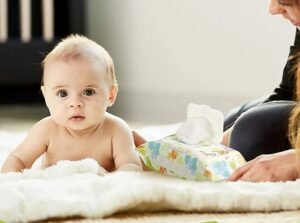 Supporting Consideration: Investigating the Universe of Child Wipes Assembling