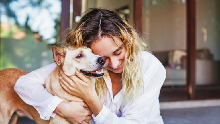 Peace of Mind for You and Your Dog: Why Professional Boarding Is Best