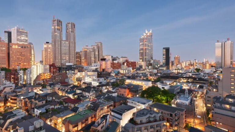 Litton Capital Group Tokyo Japan Press: Comprehensive Investment Strategies for Millennials in 2024