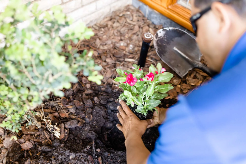 A Comprehensive Guide, to Flower Planting and Garden Design
