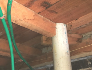 House Inspectors Can Save You Money And Time