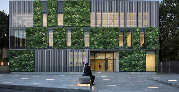 Change Your Space: A Bit by bit Guide on Introducing a Fake Green Wall