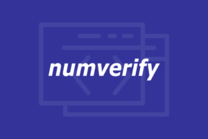 How to Implement Numverify API for Phone Number Validation in Your Application