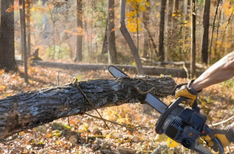Precision Woodworking with Modern Chainsaws