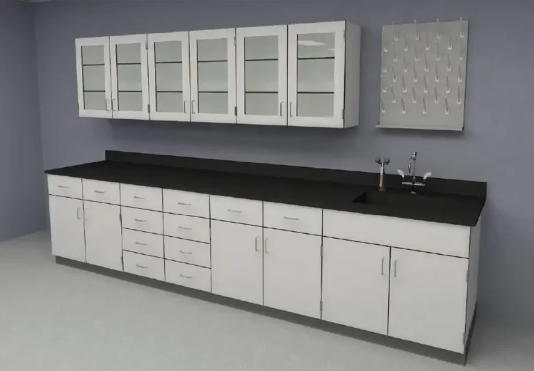 Metal Lab Cabinets in Turnkey Laboratories: Balancing Form and Function