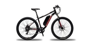 Exploring the Future of Sustainable Transportation with Mono E-Bikes