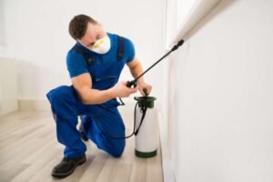 Counting the Cost: How Much Does Pest Control Really Cost?