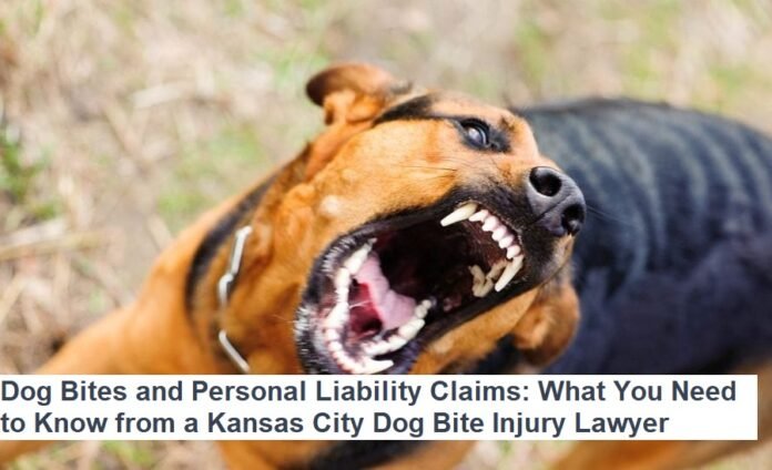 Dog Bites and Personal Liability Claims: What You Need to Know from a Kansas City Dog Bite Injury Lawyer