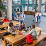 Educational Opportunities in Montreal A Guide
