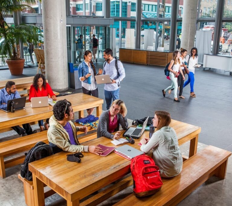 Educational Opportunities in Montreal: A Guide