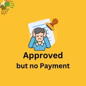 Why Is My Sassa R350 Approved but No Payment?