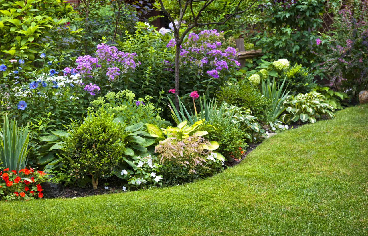 Landscape Garden Design