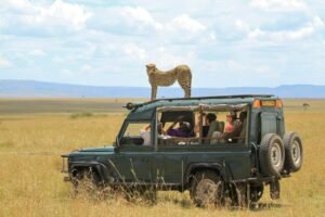 Creating A definitive African Safari Schedules and Visits