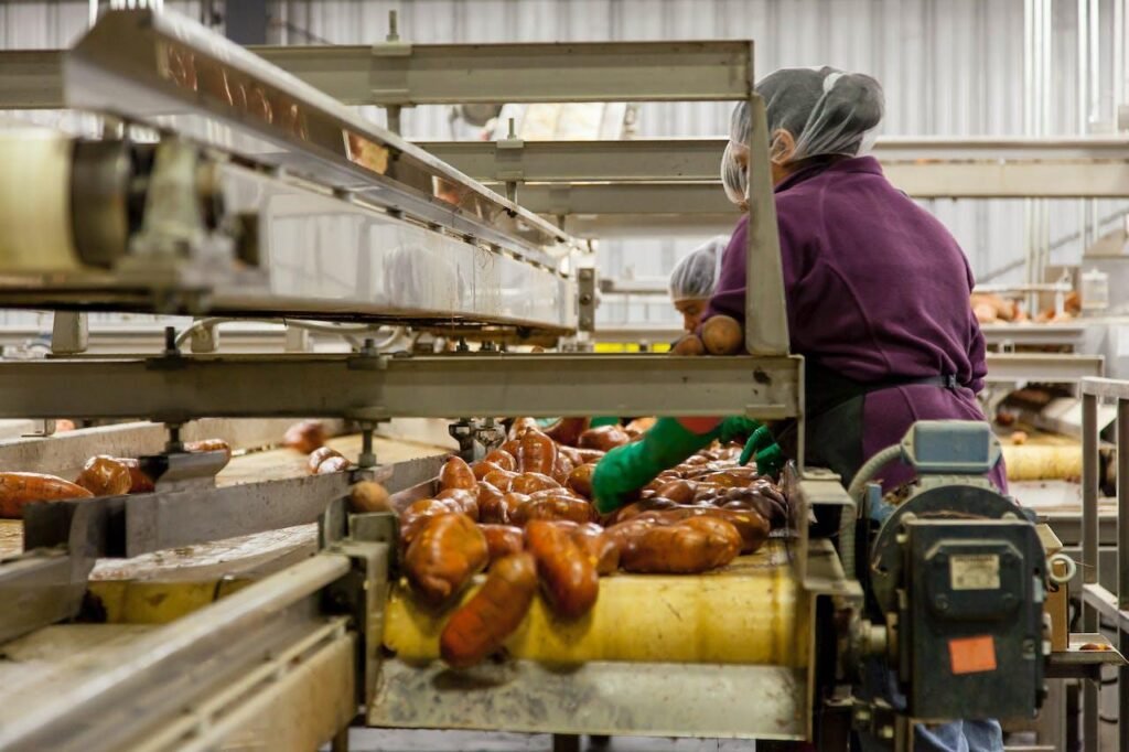 5 Things to Look for When Purchasing Commercial-Grade Food Processing Equipment