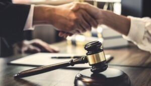 Expertise in Appealing Criminal Convictions