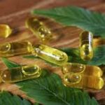 cbd oil