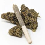 How to Use THCa Flower and its Benefits