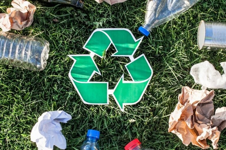 How Today’s Recycling Innovations Could Shape Tomorrow’s Environment