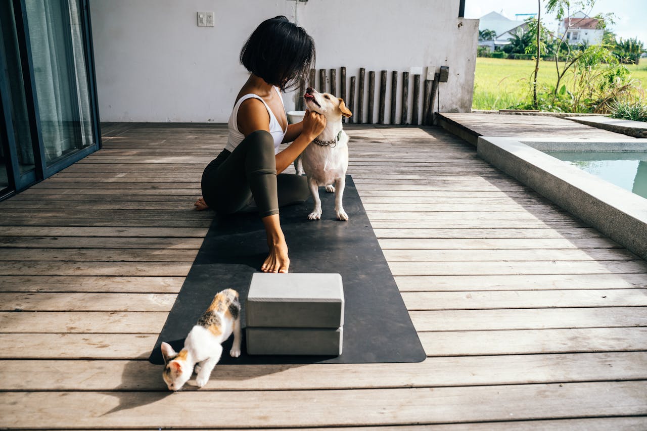 Creating a Pet-Friendly Environment When Moving Homes