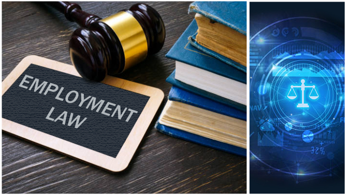 Employment Law 101 – What You Need to Know