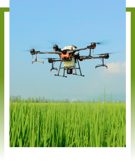 Revolutionizing Agriculture: Crop Spraying Drones in Auburn