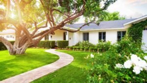 Unlock the Potential of Your Property with a Skilled Landscape Designer in Los Angeles