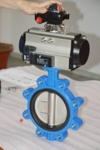 Lug VS Wafer Butterfly Valve: Choosing the Right Valve for Your Application