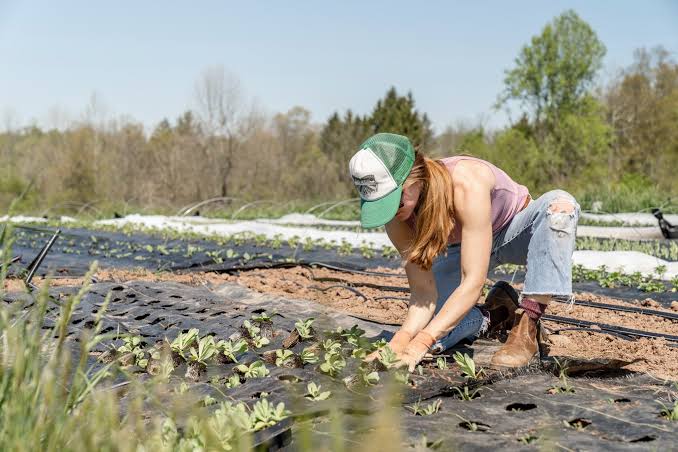 Know The Impact Of Regenerative Agriculture School Course On Environmental Conservation