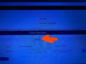 What is rce07 error us visa scheduling