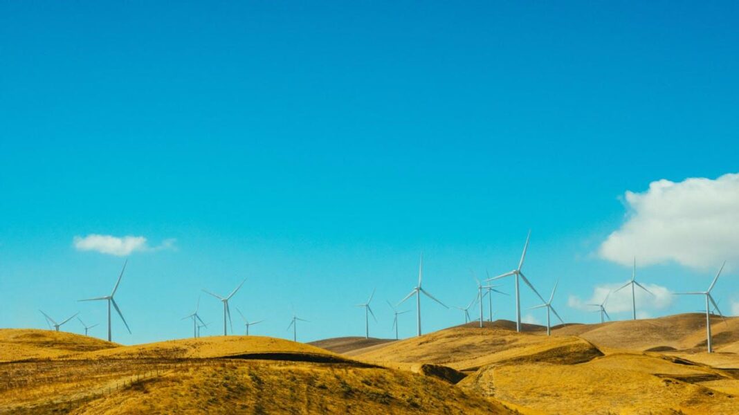 An Inside Look at the Positive Impacts of Becoming Carbon Neutral