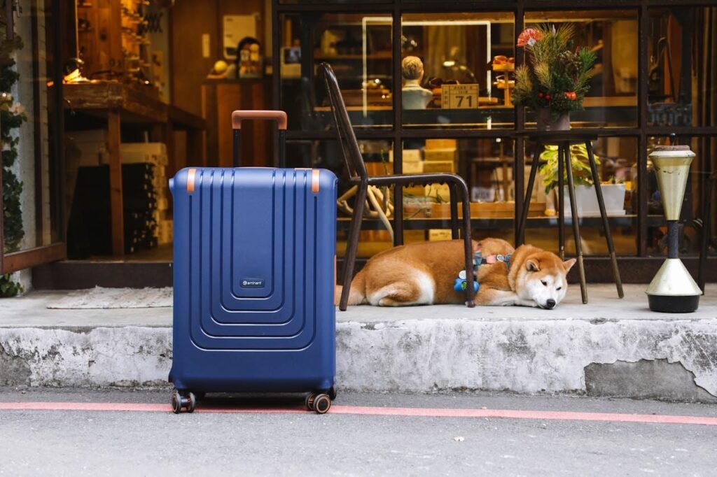 The Ultimate Guide To Starting A Dog Grooming Business