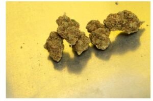 Gush Mints vs. Other Mint Strains: A Comparative Analysis