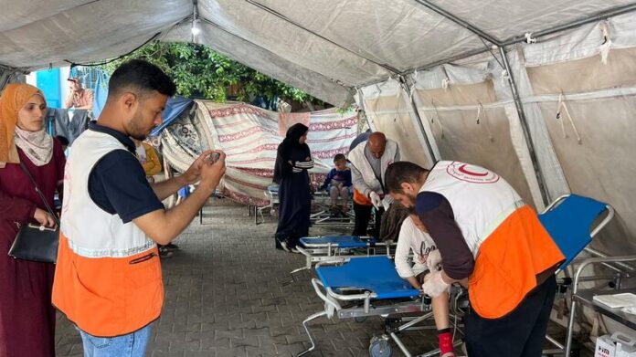 Volunteer Work in Gaza: An Overview