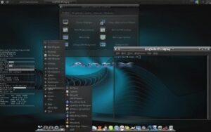 Liquorix vs AntiX: Analysis of Linux Kernels for Modern Computing