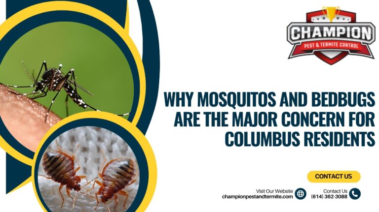 Why Mosquitos and Bedbugs Are the Major Concern for Columbus Residents